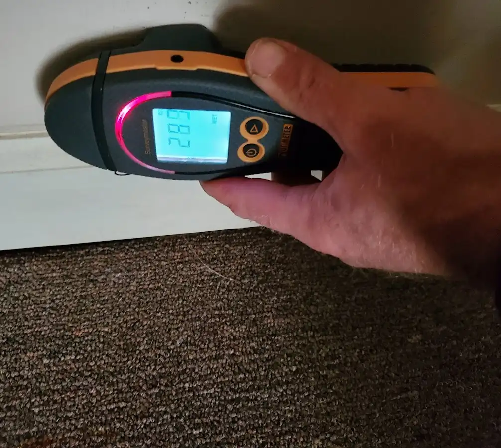 Moisture detection at baseboard during Mold Inspection & Testing in Wheeling